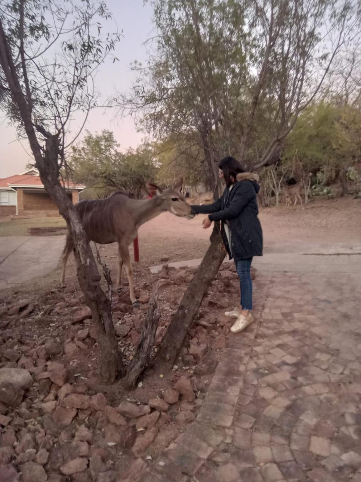 Loskop Serene Bush Cabin Winterkamp Luaran gambar